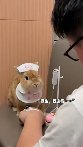 医生 这管是这么拔的么🥹 小噗：没救啦！ @宠物薯 http://xhslink.com/o/97yIyuc4zua  Copy and open Xiaohongshu to view the full post！