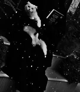 #انشودة_من_أجمل_الأناشيد_راحة_فسية 🌺