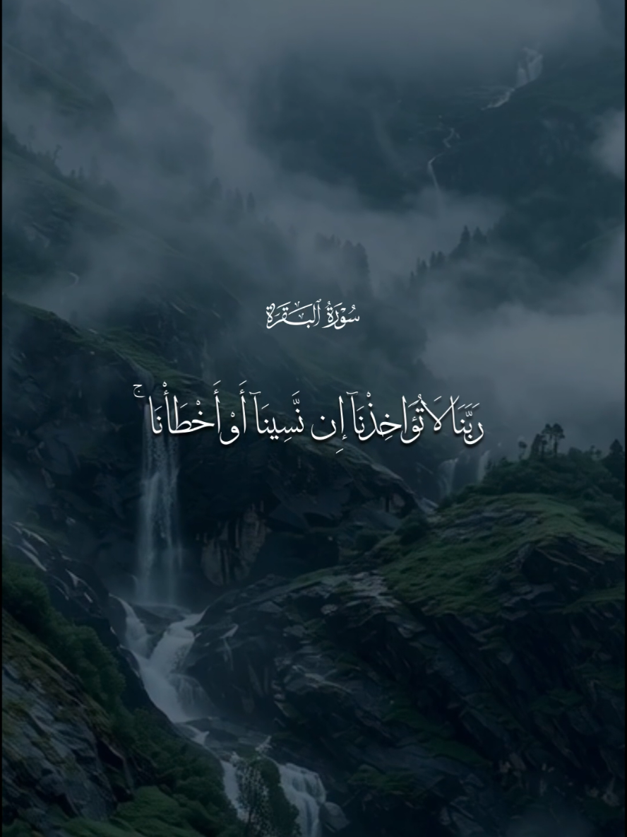 سورة البقرة - بلال دربالي 🤍  #قران #بلال_دربالي #اللهم_صلي_على_نبينا_محمد #قران_كريم #fyp 