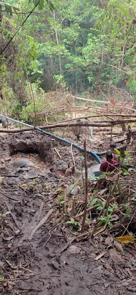 cari emas #emaspermata 