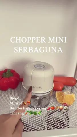 CO di keranjang kuning ya😍#fyp #ecentio #mpasi #chopper #bumbu 