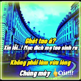 Chúng mày chẳng là gì.