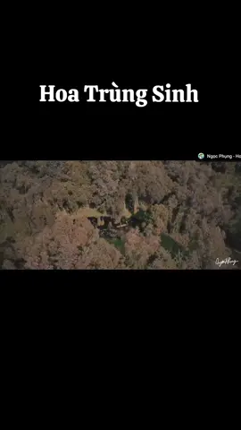 Cùng thưởng thức 