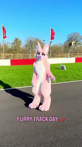 furry track day at donington! 🏎️ #furry #fursuit #furrycommunity #furryfandom 