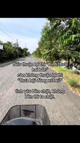 #tamtrang #tuanvi2811 