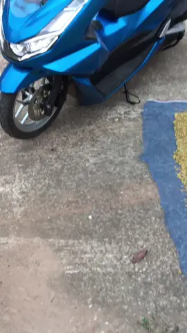 #ฟีดดดシ #บ้านนายมีpcxยัง #fyp 