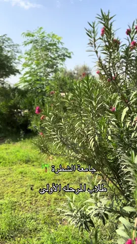 #جامعة_الشطرة شلونه المعنويات طلاب الأولى  #الشطرة #العراق #اكسبلور #الشعب_الصيني_ماله_حل😂😂 