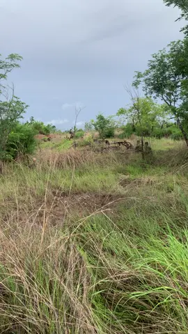 🇰🇭ទ័ពខ្លាមិនដែលរត់ចោលគ្នាទេស៊ូស្លាប់នៅកន្លែងក៏មិនរត់ចោលគ្នាដែល🐆