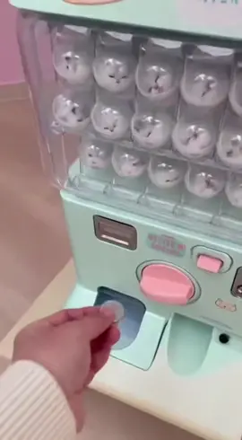 Kitten surprise 😍 #fuyyp #kitten #sora2 #CapCut 