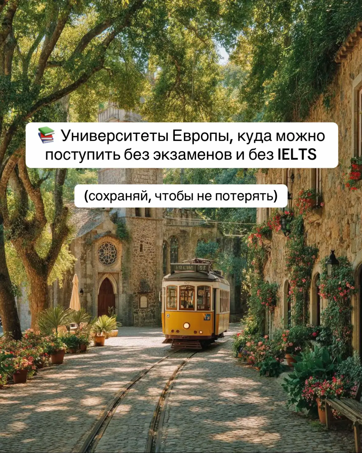 Да, такое реально существует. Многие европейские вузы принимают иностранцев по системе document-based admission — без вступительных экзаменов и без обязательных языковых тестов. Главное — предоставить школьный аттестат, мотивационное и доказать уровень английского другими способами. ⸻ 🇳🇱 1. University of Groningen (Нидерланды) 🎓 Приём на многие программы без экзаменов 📝 IELTS можно заменить школьным аттестатом/видеоинтервью 💡 Один из топовых университетов Европы ⸻ 🇩🇰 2. Aarhus University (Дания) 🎓 Большинство бакалавриатов без вступительных тестов 📝 Подтверждение английского через оценки в школе 💡 Очень сильные программы по бизнесу и IT ⸻ 🇨🇿 3. Charles University (Чехия) 🎓 Поступление без экзаменов на многие англоязычные направления 📝 Можно подать без IELTS, если есть сертификат от школы 💡 Стоимость обучения низкая, проживание доступное ⸻ 🇮🇹 4. Sapienza University of Rome (Италия) 🎓 Приём без экзаменов по документам 📝 IELTS часто не требуется для программ на английском 💡 Один из крупнейших университетов Европы ⸻ 🇩🇪 5. Rhine-Waal University (Германия) 🎓 Поступление в бакалавриат без экзаменов 📝 IELTS можно заменить внутренним онлайн-тестом 💡 Обучение часто бесплатное, даже для иностранцев Еще больше стипендий в моем тгк abroadwithstan 
