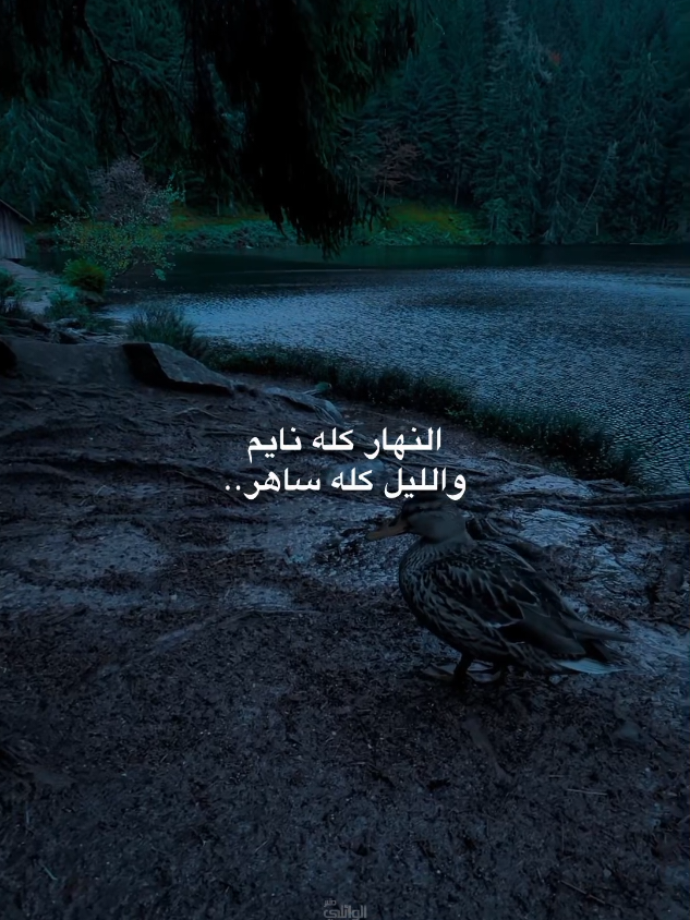 النهار كله نايم الناس#الشيخ_احمد_الوائلي 