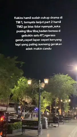 tambah lagi napsu makan berkurang, ada yang sama? #bumilhappy #pregnant #pejuanggarisdua #mamud #calonibu 