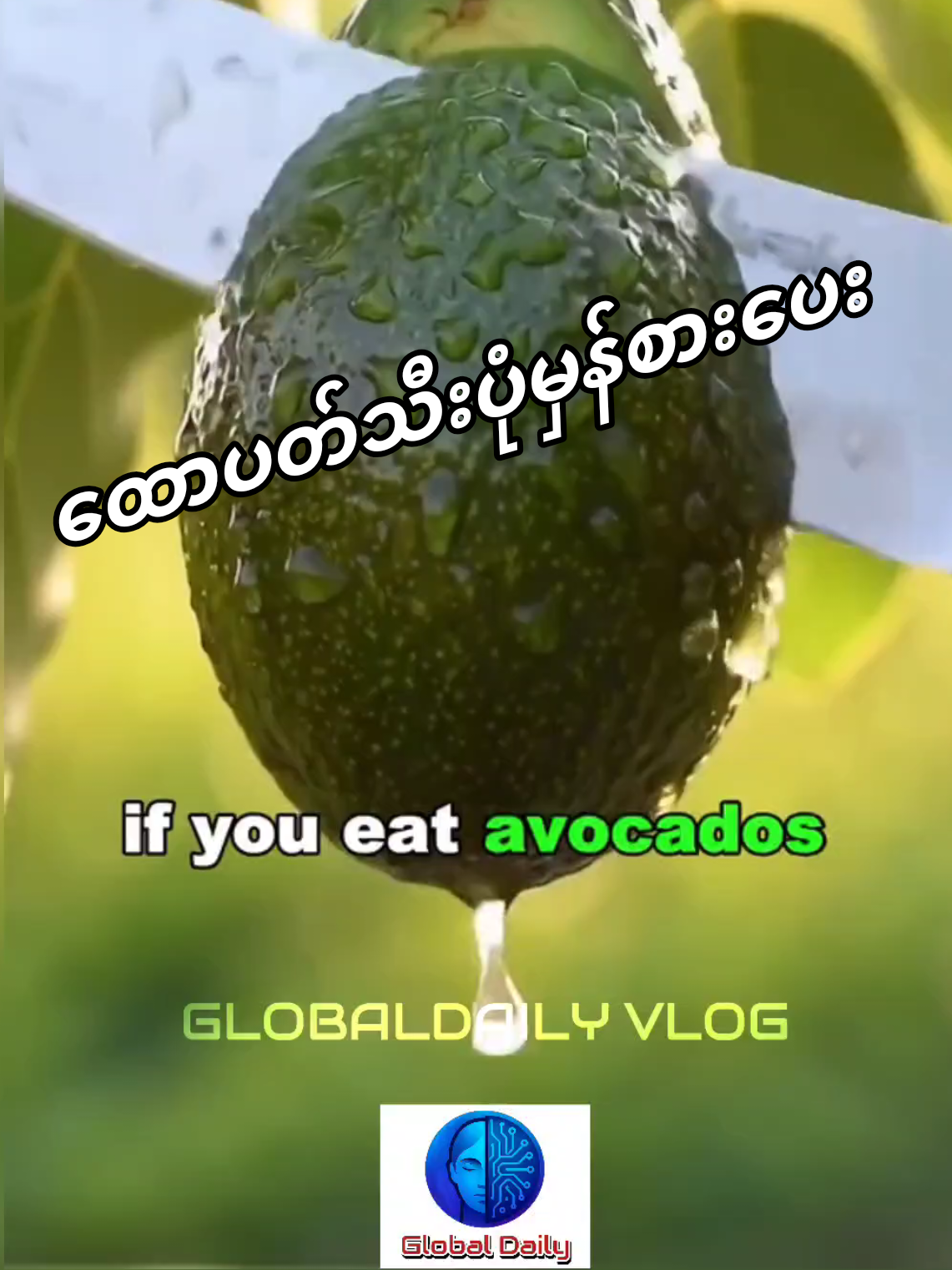 ထောပတ်သီးစားခြင်း အကျိုးကျေးဇူး #tiktokmyanmar #health #fyp #knowledge #avocados 