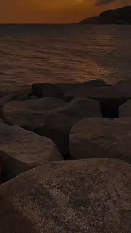 #slowsuave #LIVEIncentiveProgram #Seul #gataonly #PaidPartnership 