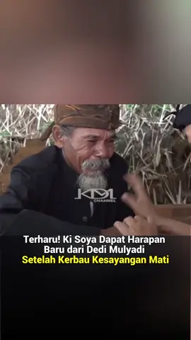 Terharu! Ki Soya Dapat Harapan Baru dari Dedi Mulyadi Setelah Kerbau Kesayangan Mati Tersengat Listrik #viral #kdm #dedimulyadi #tiktokberita