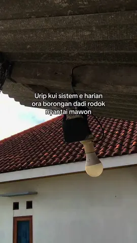 pokok nyantai mawon 😄 #fyppppppppppppppppppppppp  #jawastory 