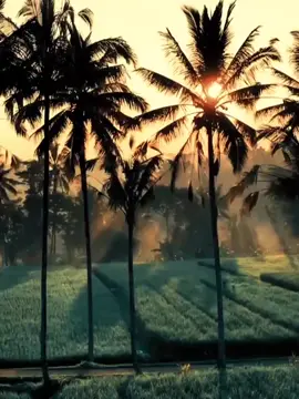 #quotes #foryou #foryoupage #laguviral #CapCut 