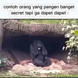 tag temen kalian kalau ada😭#roblox#fyp #secretroblox #meme