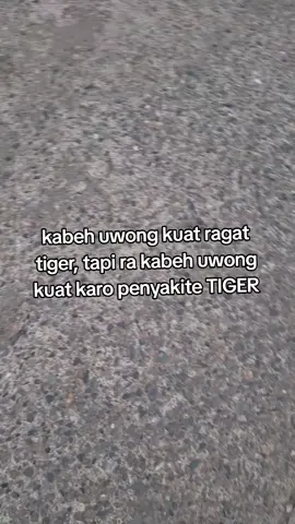 seng iki mari bar iku ononeh seng lio rusak.#herex #gl200 #tigergank #tigerss #tigermodifikasi 