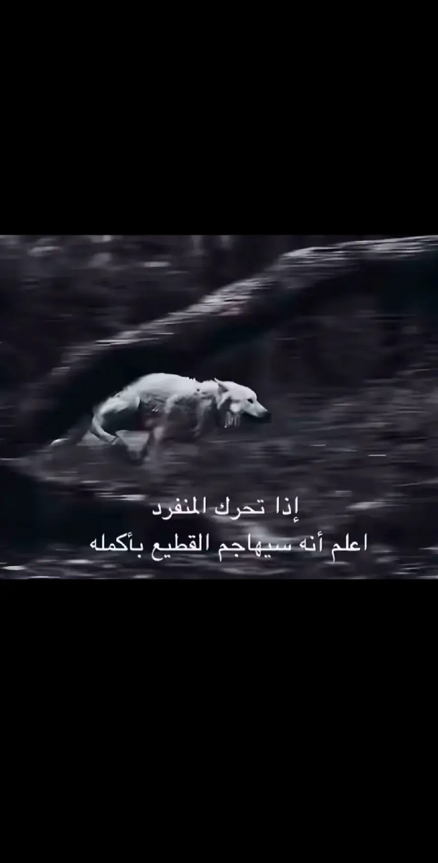 #تصميم_فيديوهات🎶🎤🎬 #تـفـاعـل #صعدو_الفيديو 