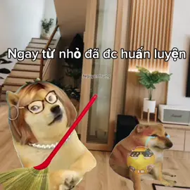 Ngay từ nhỏ đã được huấn luyện 🗣️🔥 cre suond:Hoanghiep #viral #fyp #edit #xuhuongtiktok #viral 