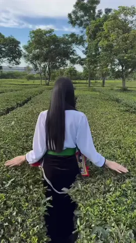 #nguoidantocthai #venhavoiem #gaithaitaybac #dantocthaitrang 