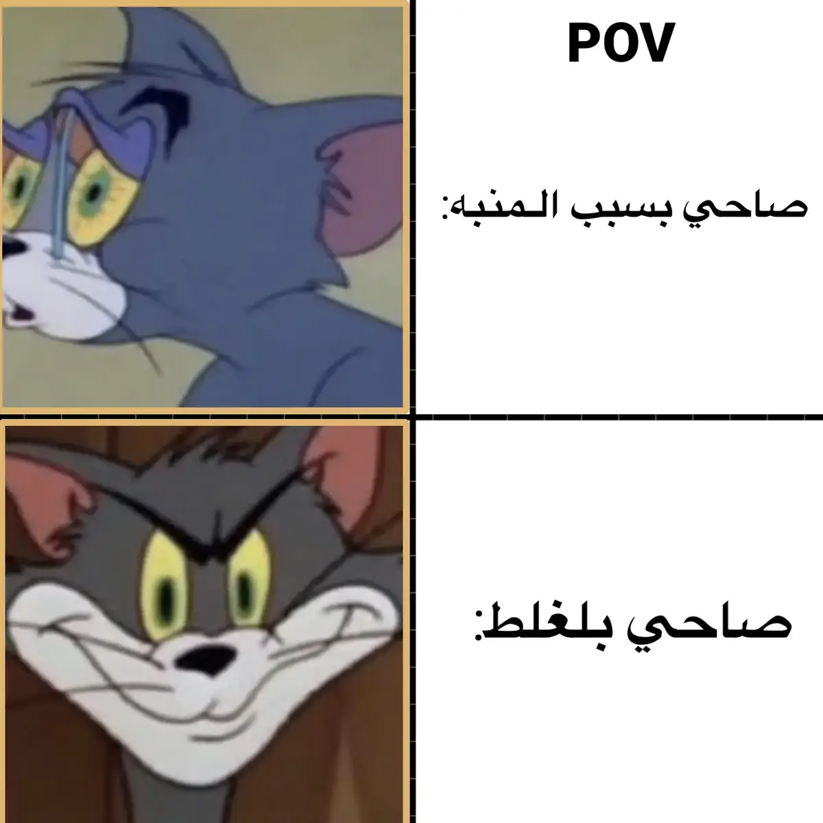 #توم_وجيري #ميمز #صور #مالي_خلق_احط_هاشتاقات #تصميم_فيديوهات🎶🎤🎬 