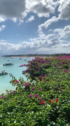 The beauty of Nusa Lembongan ⛱️🍃🌸🌊 #placetogo #nusalembongan #bali #fyp 