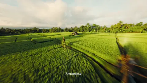 Terbang pagi meski cuaca mendung dan matahari sedikir bersinar 🌾🛖 #fyp #fpvpilot #drone #cinematic #fpvcinematic 