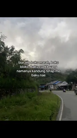 nae ke puncak eee🫵🏻 #palu #sulteng #kebunkopi #sulawesi #fyp #4u 