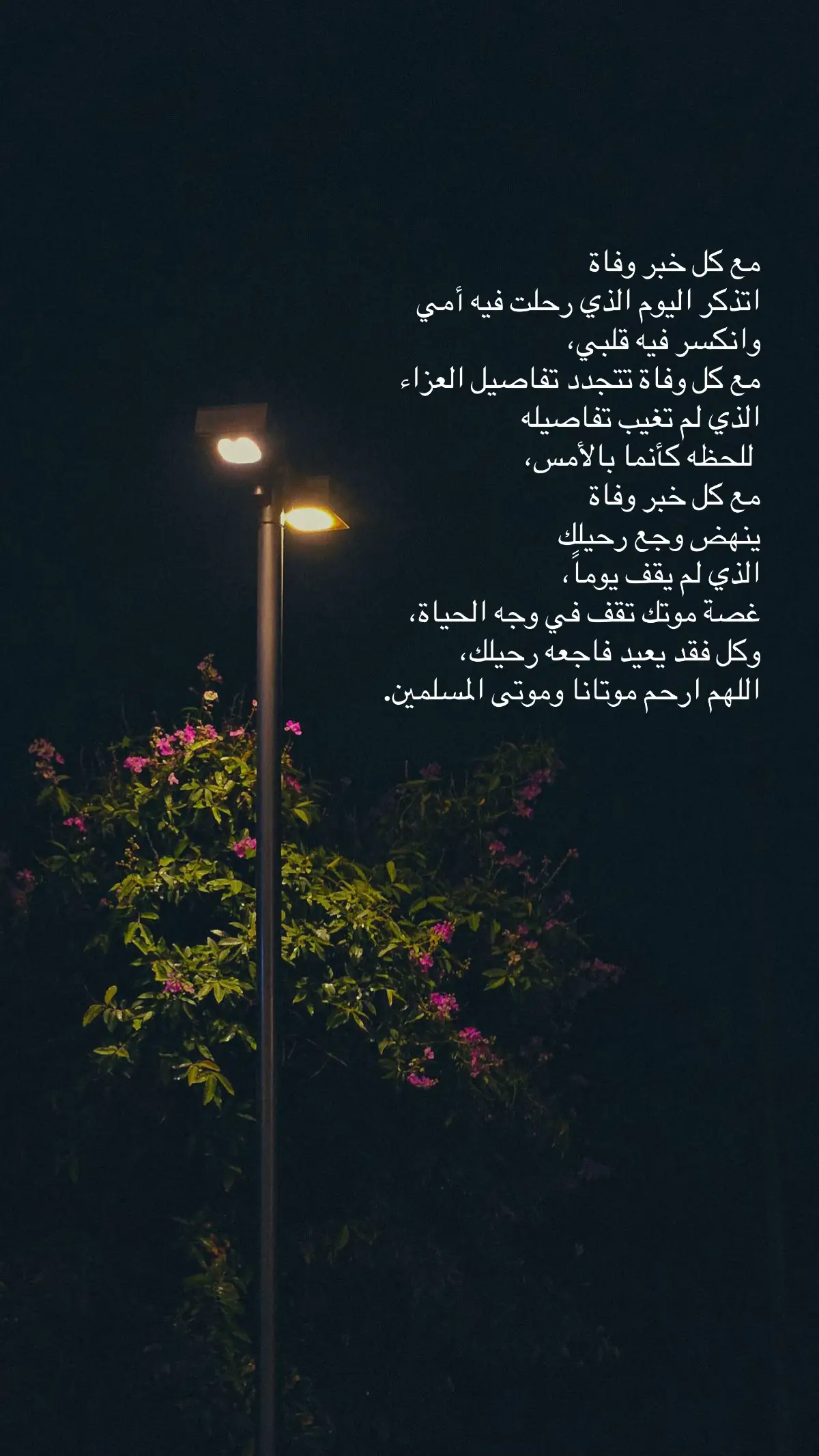 رحِم الله ارواحًا طابَ ذِكرها وحسُن أثرها  ‏اللهُم ارحم امي  ، واغفر لها وأنر قبرها ‏واجعل الجنة دارًا لها ..