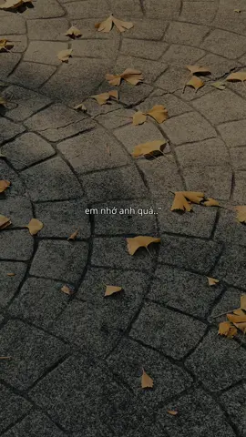 #tamtrang #suyymottchut #viral 