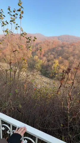 #zaqatala #zaqatalamiz ♥️