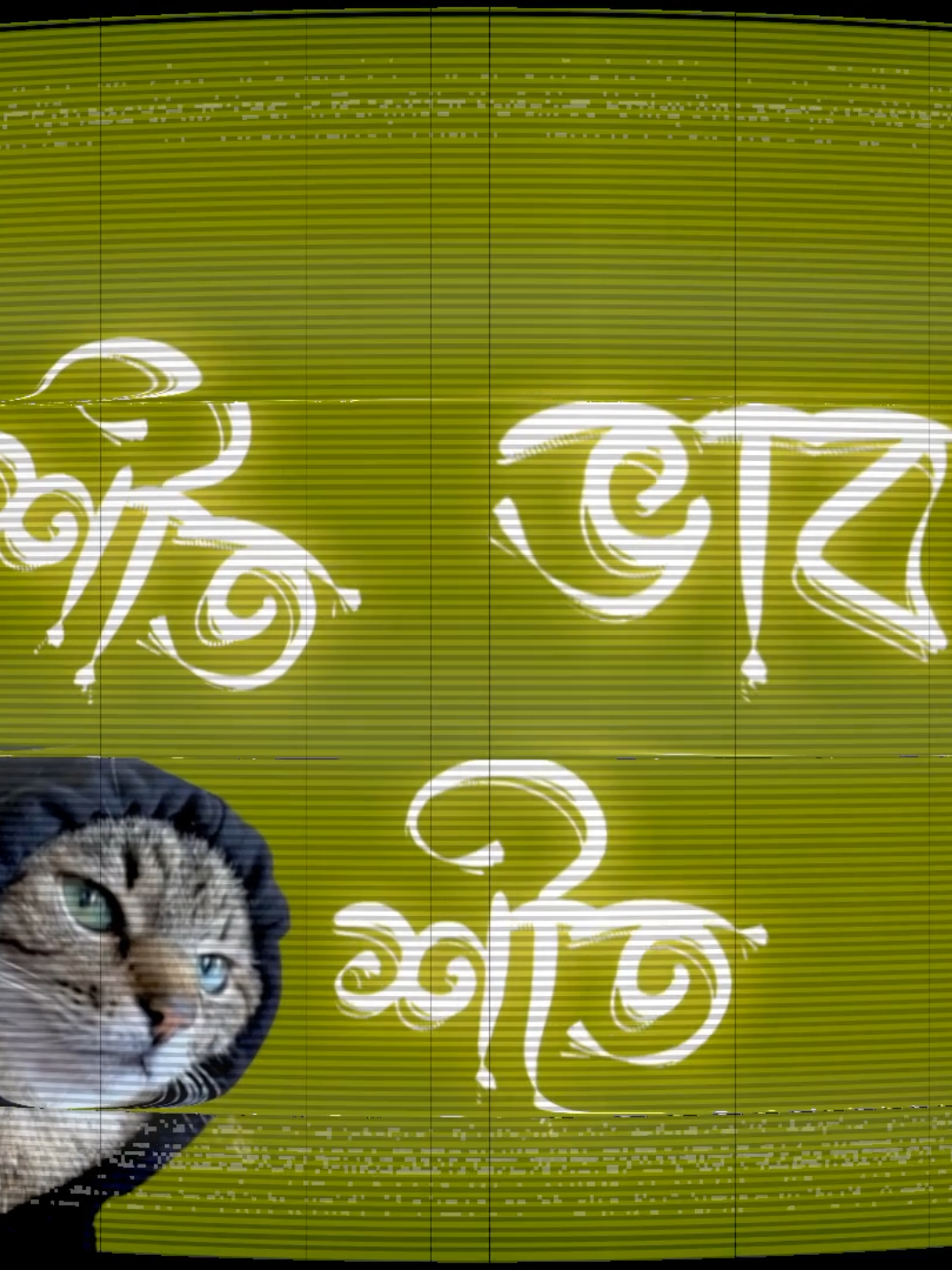 শীত শীত ভাব 🥰🥰🎀🎀😜😜😜🐸🐸 #catfani #virallyrics #black_cat_901 #foryou #fanivideo @TikTok @Official TikTok Affiliate ID 