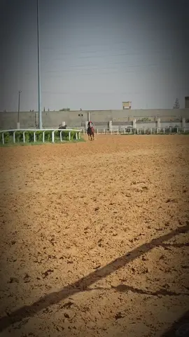 #تاجوراء_طرابلس_ليبيا #سرت_سرت_ليبيا💚🌻🔥🦅 #بسم الله مشاء الله 