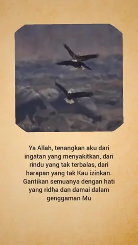 #quotes #quotesislam #reminderislamic #islamicquotes #quotesaesthetic 