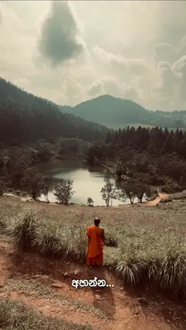 මානසික නිදහස තමයි මනුස්සයෙග්ගෙ ජීවිතේ අංක එක වෙන්න ඕනි 🤍✨ #fyp #foryou #fyppppppppppppppppppppppp #trending #foryoupage 