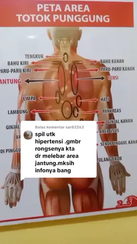 Membalas @sar82263 area titik organ tubuh bagian punggung#terapitotokpunggung #plongkramatjati #totokpunggung #sahabatsehat 