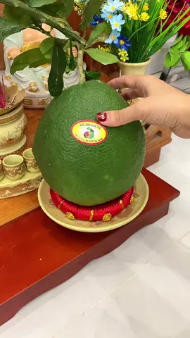 Đế chưng trái cây ban thờ #dechungtraicay #dechungdua #tet #giadungtienich #xh 