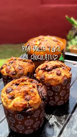 Pan dulces o PANETTONES CON CHIPS DE CHOCOLATE 😍🤤🎉😋 los más fáciles y ricos👌 SIN AMASADO y SIN VUELTAS! Para regalar, vender o auto regalarnos 🤩🎉🎄 (RINDE 3 PANES DE 150 GR. Y 1 de 500 GR./ O 5 de 500 GR.) *INGREDIENTES .2 huevos .1/2 taza azúcar (120 gr.) .10 gr. Levadura seca @copalsapy  o 20 gr. Lev. Fresca @copalsapy .Ralladura de 1/2 limón .100 ml. Leche tibia (1/2 taza) .150 gr. Manteca (7 cdas.) .Chorrito de esencia  de panettone  .1/2 kilo harina 0000 (500 gr) .200 gr. chips de chocolate (opcional) podes reemplazarlos por frutos si preferís   Las gotas de chocolate son de  Mavalerio distribuido por @copalsa Lo liquido en la licuadora @philipshogar_paraguay y unimos con la Harina mezclamos , cargamos en moldes navideños yo usé 3 de 150 gr. y 1 de 500 gr. Podes usar el que más te guste y los conseguis en @copalsapy Reposo 40 minutos y al horno 150 grados 40 minutos  Conseguí para tu licuadora en @cph_py  con descuento mencionando este video😃👌