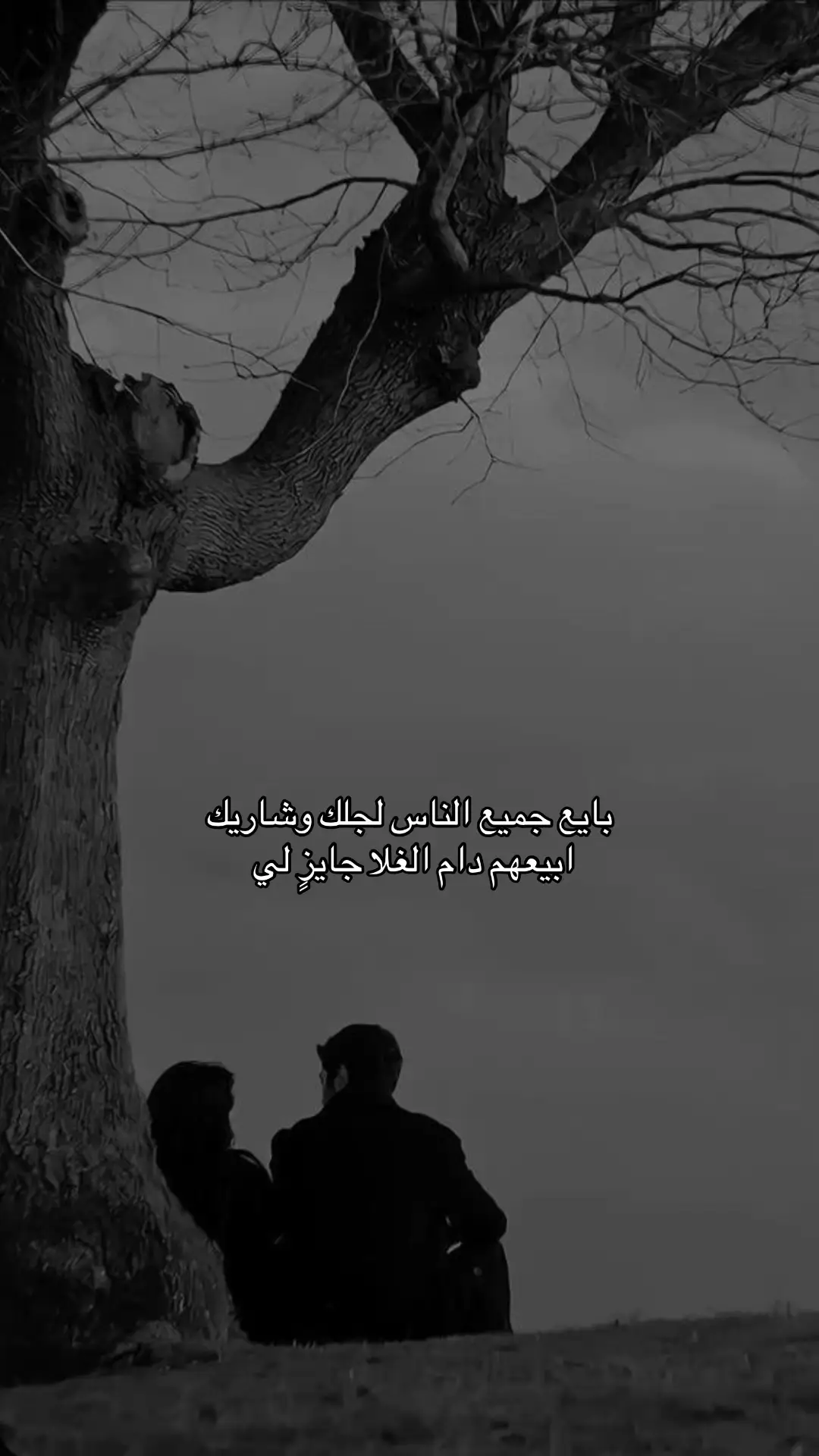 #شعر #اكسبلورexplore #قصايد 