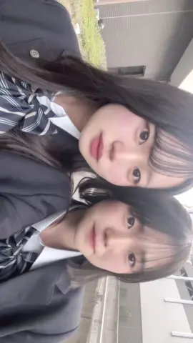 これたのしい#fjk #fyp 