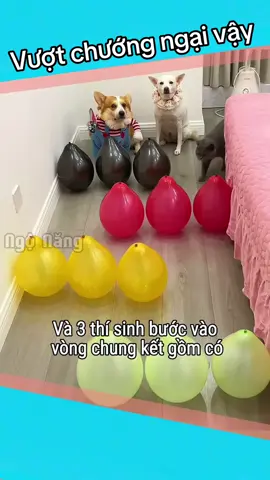 Vượt chướng ngại vật 