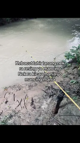 🤙🏻#fyp #mancing #mancingliar #kucik #setorymancing 
