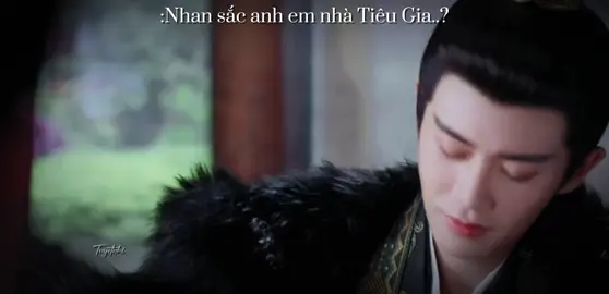 Anh em nhà này ai cũng mạnh, mạnh ai nấy đẹp, có điều không ưa nhau thuiii😃#phuonghoangdaithuong #nhamgialuan #luumongnhue #truongdieu #fyp 