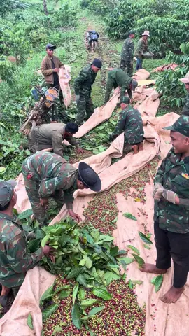 48 lâm đồng chào anh em nha 😁😁