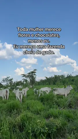 Amo😍🫶🏻#vaca #nelore #fazenda #vacas #videoviral 