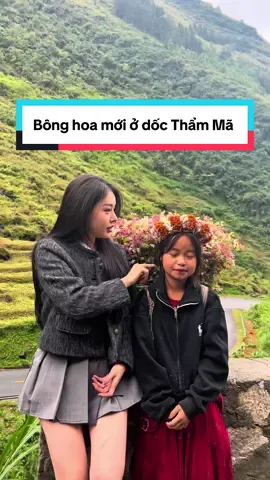 Phát hiện bông hoa mới ở dốc Thẩm Mã, có ai biết là ai không ?#hàgiang #gaiban #haithovlog @Kim Oanh @Trolykim🐯 