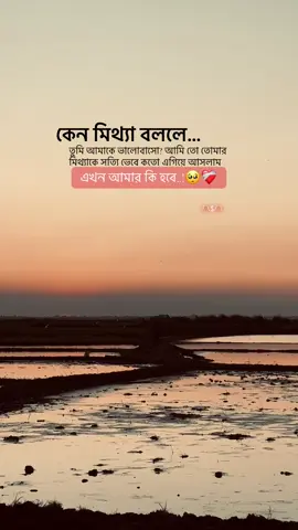 কেন মিথ্যা বললে তুমি আমাকে ভালোবাসো? আমি তো তোমার মিথ্যাকে সত্যি ভেবে কতো এগিয়ে আসলাম এখন আমার কি হবে..!🥺❤️‍🩹 . #foryou #foryoupage #unfrezzmyaccount #tiktok #vairal_video 