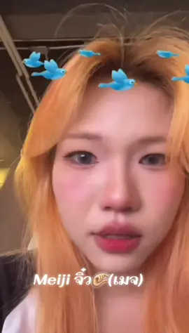 อีกสักคริป#อย่าปิดการมองเห็นหนู #พี่เมจิ #ฟีดดดシ @MS.MEIJI 